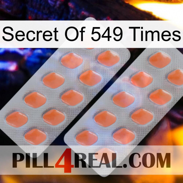 Secret Of 549 Times 27.jpg